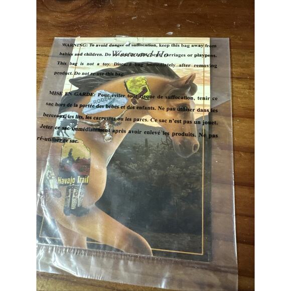 The Trail of Painted Ponies: 1E Westward Ho In Box - Picture 9 of 10